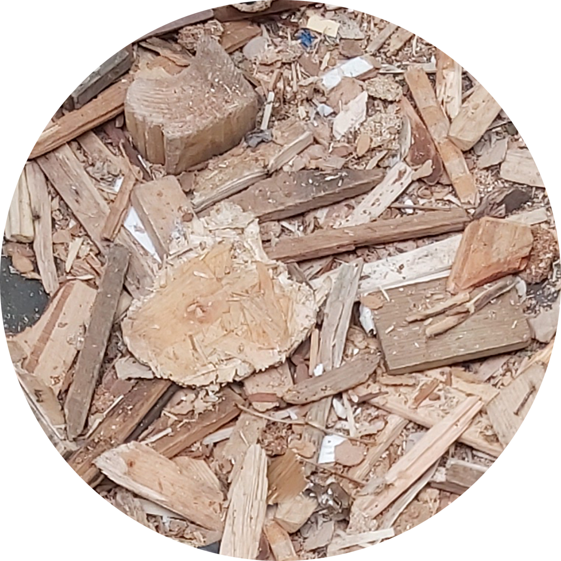 Non processed wood sorting