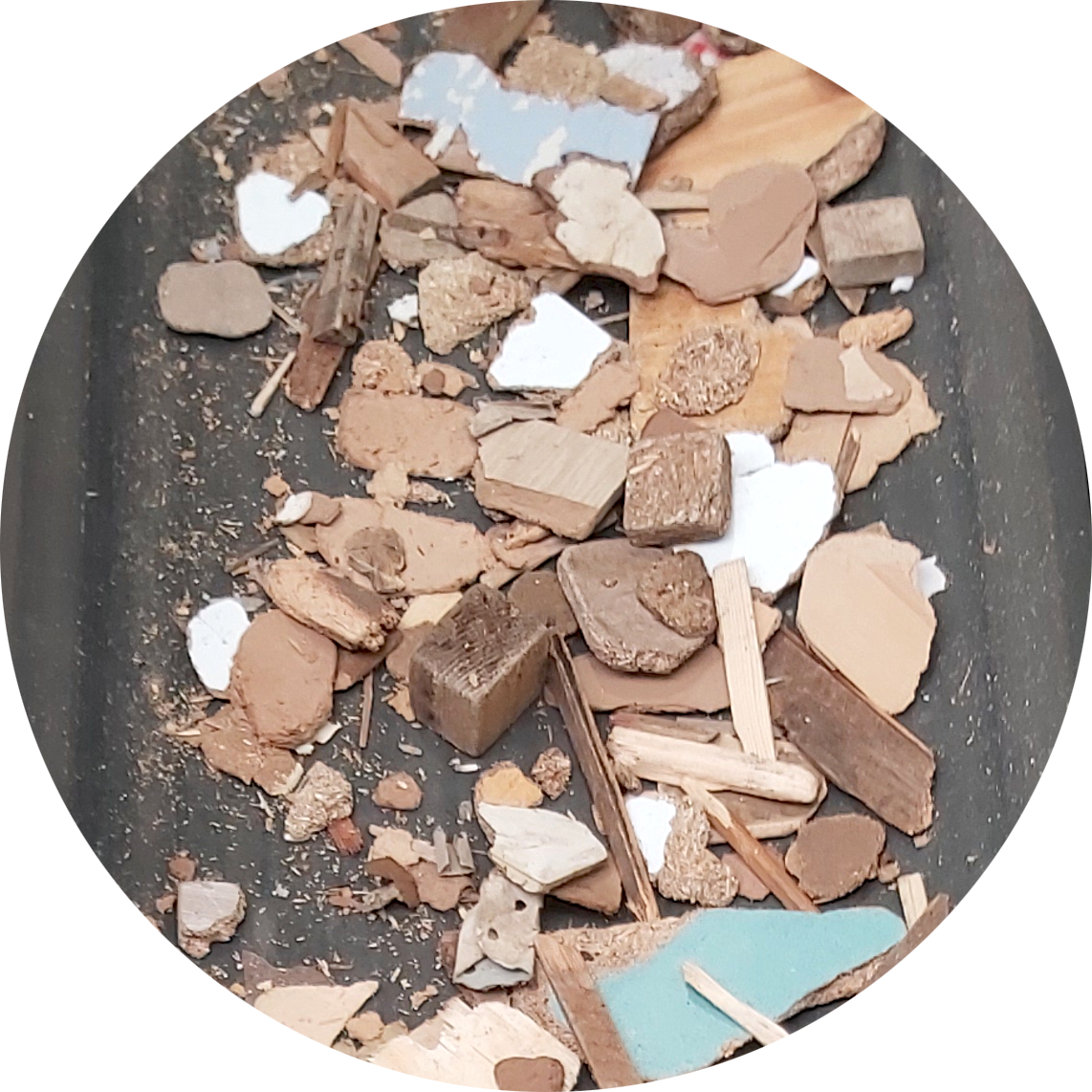 Processed wood sorting