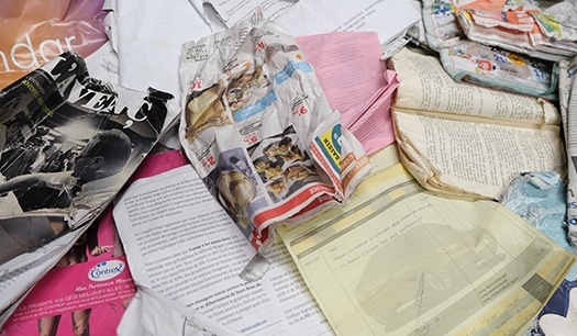 CNS BRAIN: Paper and cardboard application